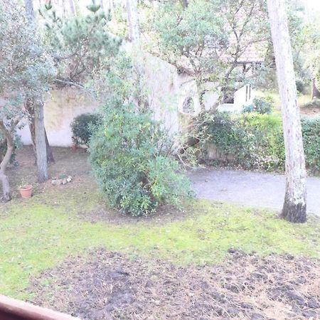 Ref 141 ,Seignosse Les Bourdaines , Villa Bouharde Classee 3 Etoiles, A 600 M Plage, 10 Personnes Kültér fotó