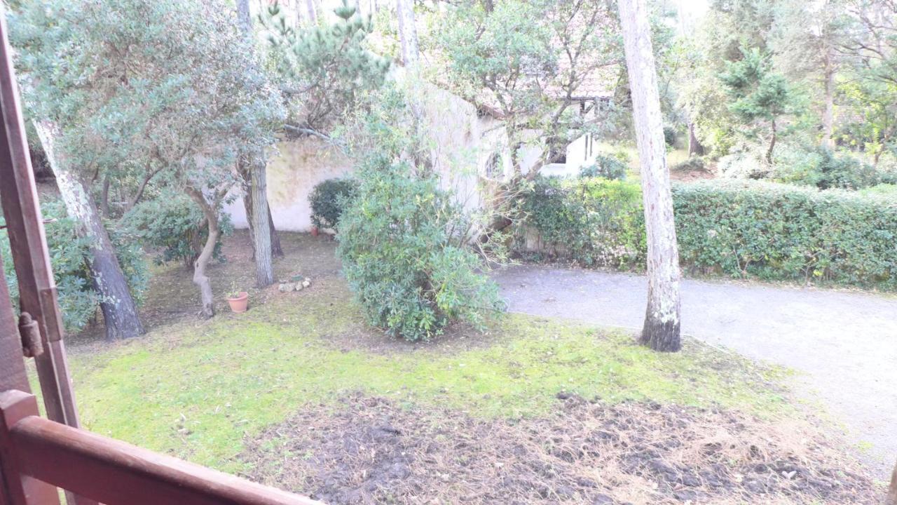 Ref 141 ,Seignosse Les Bourdaines , Villa Bouharde Classee 3 Etoiles, A 600 M Plage, 10 Personnes Kültér fotó